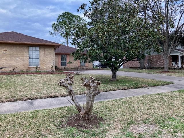Margaret's Home Care Services photo