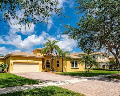 Oasis Palms INC. photo