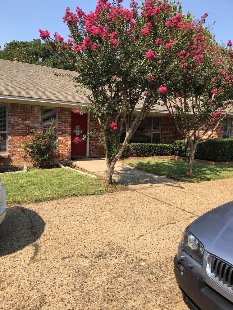 AVENDELLE ASSISTED LIVING ROYAL photo