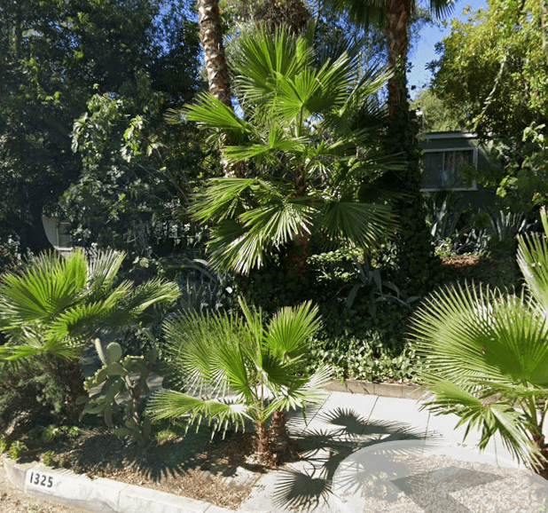 MERIDIAN MANOR photo