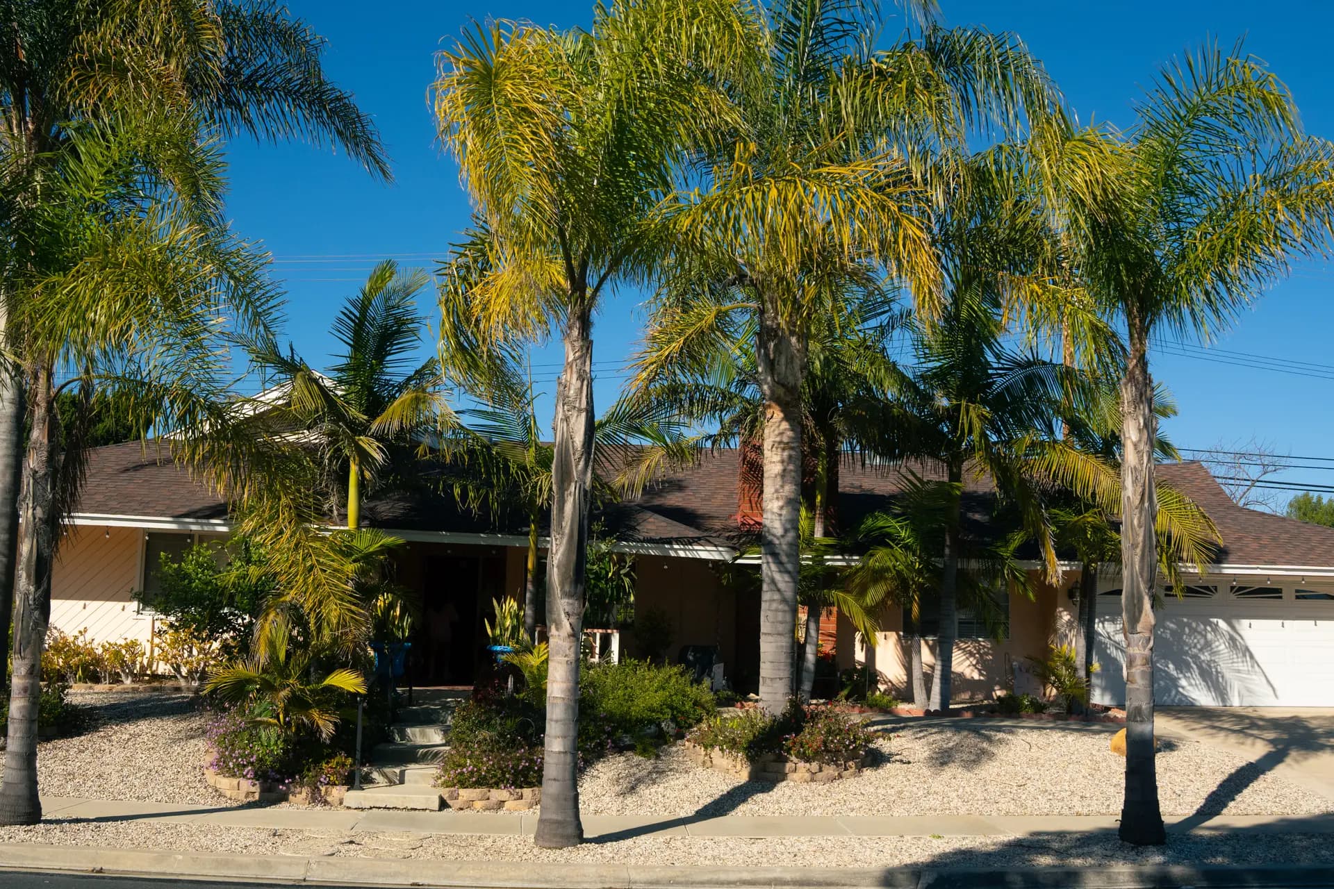 MAICA PLACE, INC photo