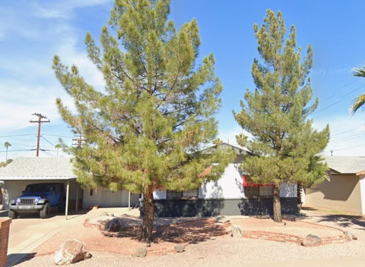DESERT PALM ON 10TH PLACE photo
