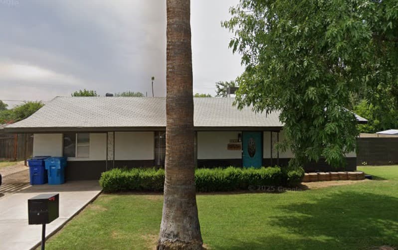 DESERT PALM ON BELMONT photo