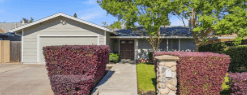 SUNFLOWER'S HOME photo