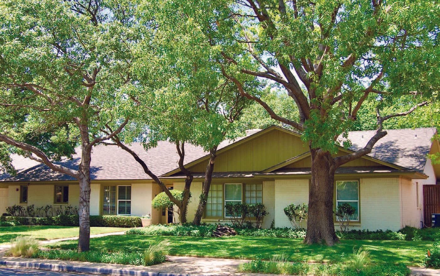 PROMISELAND ASSISTED LIVING III LLC photo