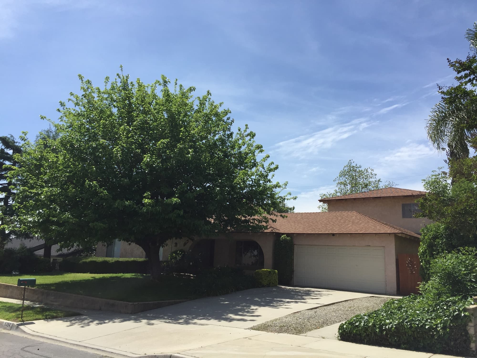 GENESIS MANOR photo