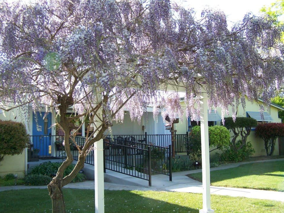 OLIVE CITY CARE HOME photo