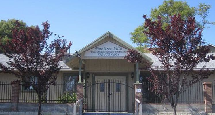 PINE TREE VILLA photo