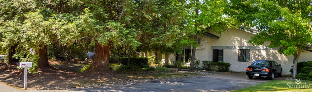 ELDERLY INN IV, THE photo