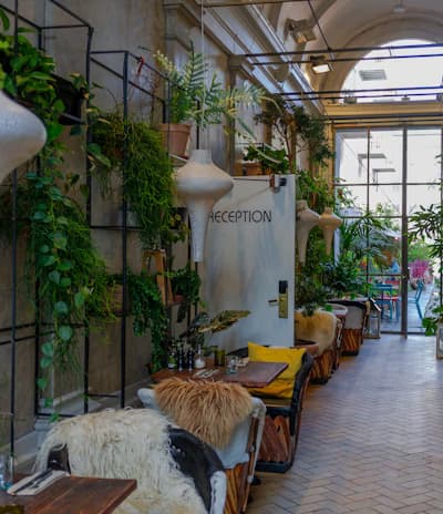 SOPHIE HOME CARE photo