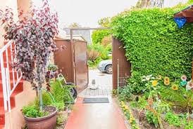 EILAT'S MANOR photo