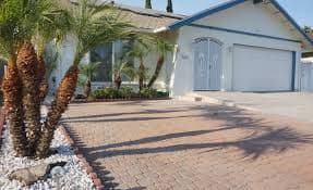 OLIVE TREE HOME photo