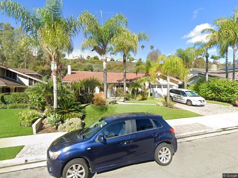 LAGUNA PALMS photo