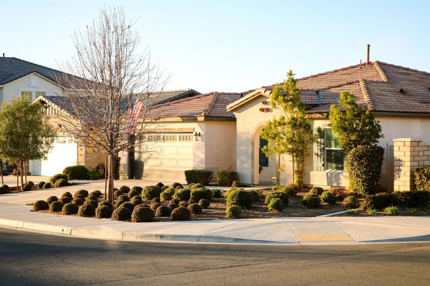 BLOSSOM HOME CARE photo