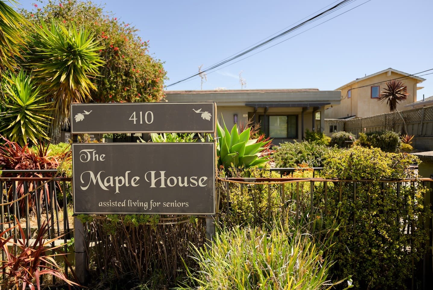 MAPLE HOUSE, THE photo