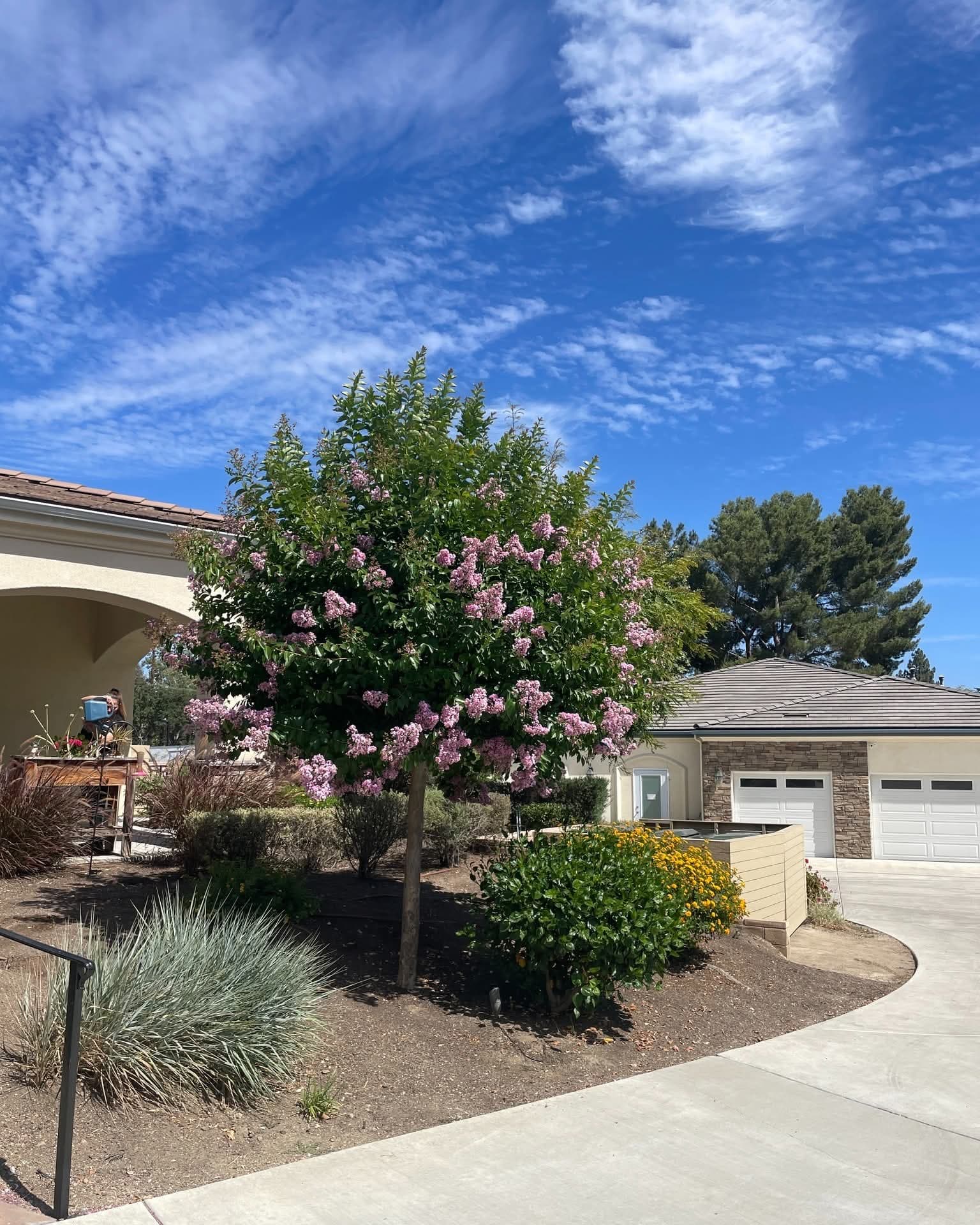 HOMELIFE SENIOR LIVING 8 photo