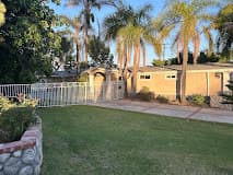 GOLDEN APRICOT MANOR photo