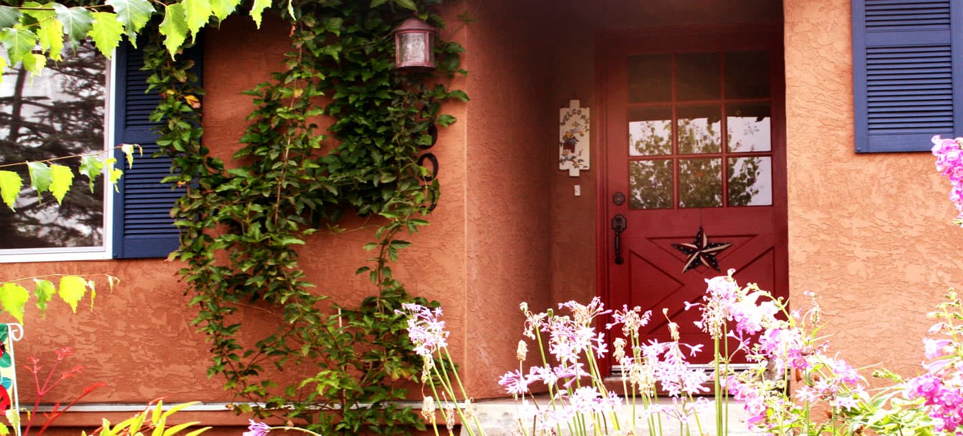 LUCIE'S COZY COTTAGE photo